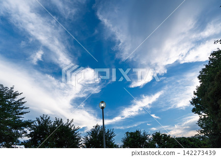 公園路燈和夏日天空的景色 公園路燈和夏日天空的景色 142273439