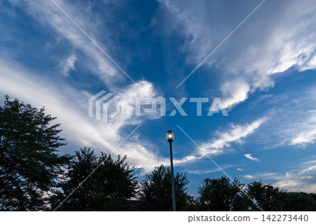 公園路燈和夏日天空的景色 公園路燈和夏日天空的景色 142273440