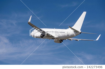 波音737 波音737 142273496