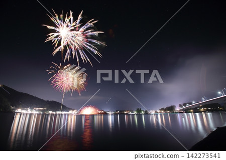 著色夏夜天空的煙花 142273541