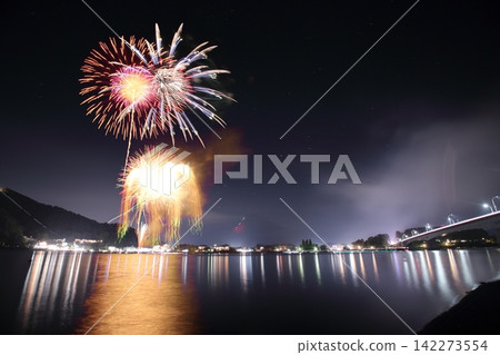 盛開在夏日夜空的大朵花朵 142273554