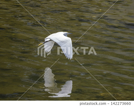 Flying skies on the river Flying skies on the river 142273660