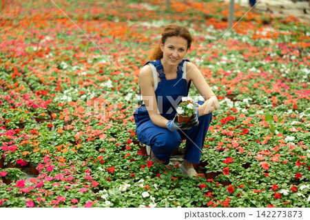 Woman Greenhouse Worker with Flowers 142273873