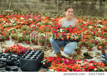 Woman holding a tray with different flowers in her hands Woman holding a tray with different flowers in her hands 142273884