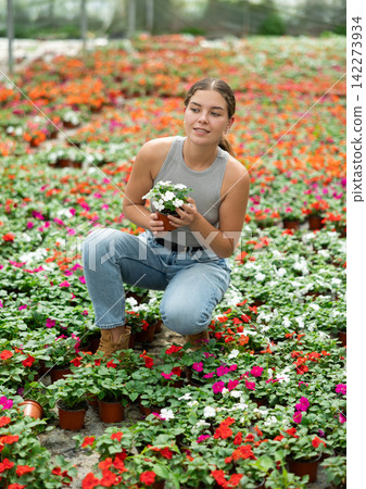 Young woman choosing flowers in greenhouse Young woman choosing flowers in greenhouse 142273934
