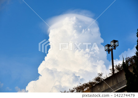 Rapidly developing cloud covering Rapidly developing cloud covering 142274479