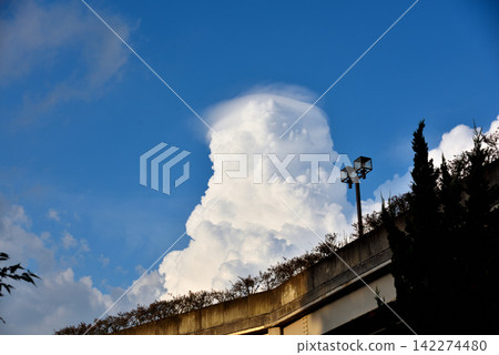 Rapidly developing cloud covering Rapidly developing cloud covering 142274480