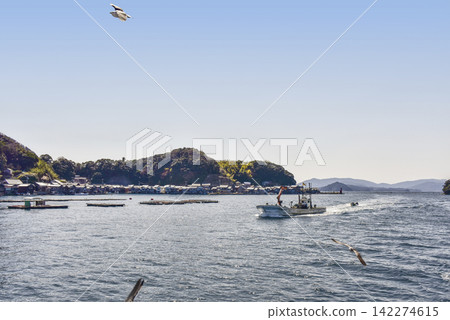 View from a sightseeing boat on a tour of Ine Bay 142274615