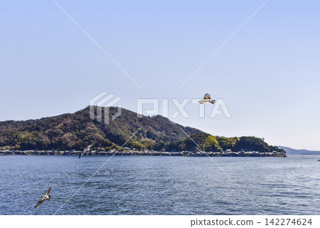 View of the boathouses from a sightseeing boat on the Ine Bay. View of the boathouses from a sightseeing boat on the Ine Bay. 142274624