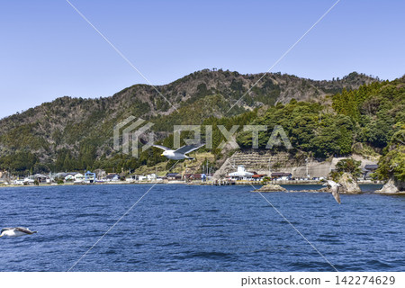 View from a sightseeing boat on a tour of Ine Bay View from a sightseeing boat on a tour of Ine Bay 142274629