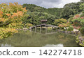 Temple's pond 142274718