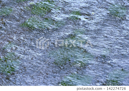 背景圖片捕捉水下藻類生長所引起的水面漣漪。 背景圖片捕捉水下藻類生長所引起的水面漣漪。 142274726