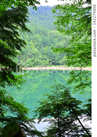 The tranquil Karikomi Lake boasts a beautiful emerald green color and stunning reflections. The tranquil Karikomi Lake boasts a beautiful emerald green color and stunning reflections. 142274808