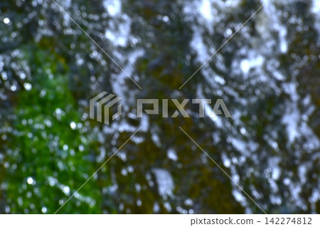 背景圖片捕捉水下藻類生長所引起的水面漣漪。 背景圖片捕捉水下藻類生長所引起的水面漣漪。 142274812
