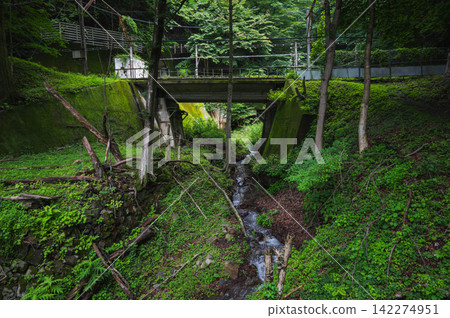 [Former Shin'etsu Main Line New Line] Railway ruins covered in moss [Usui Pass] 142274951