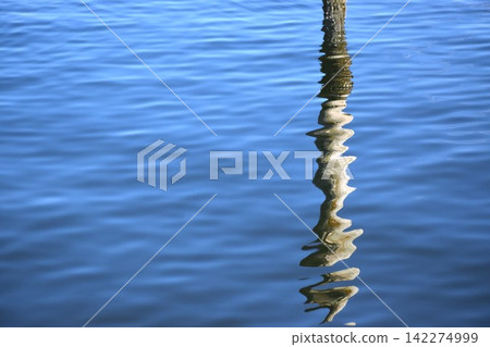 A fantastical background image featuring shadows swaying gently on the water's surface. A fantastical background image featuring shadows swaying gently on the water's surface. 142274999