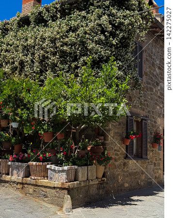 Traditional tuscan stone house with jasmine and potted flowers Traditional tuscan stone house with jasmine and potted flowers 142275027