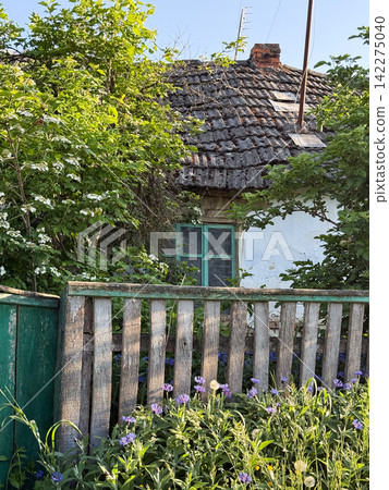 Old rural house with broken fence and blooming flowers Old rural house with broken fence and blooming flowers 142275040