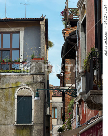 Narrow venetian street with ancient buildings and pigeons Narrow venetian street with ancient buildings and pigeons 142275154