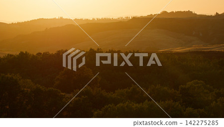 Tuscan hills and trees at golden sunset hour Tuscan hills and trees at golden sunset hour 142275285