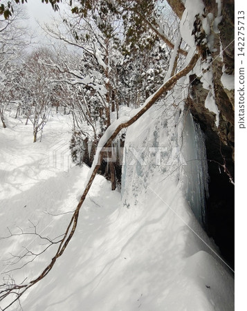 冬季積雪很厚的岩井瀑布:從側邊看到的冰瀑。 冬季積雪很厚的岩井瀑布:從側邊看到的冰瀑。 142275713