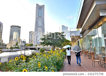 Women walking along the Ooka River estuary terrace with parasols. Women walking along the Ooka River estuary terrace with parasols. 142275736
