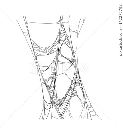 Cartoon Halloween creepy cobweb or spiderweb thread. Horror holiday scary spider web thread, fall season party spooky spiderweb vector decor element. Halloween tangled cobweb decoration or net Cartoon Halloween creepy cobweb or spiderweb thread. Horror holiday scary spider web thread, fall season party spooky spiderweb vector decor element. Halloween tangled cobweb decoration or net 142275798