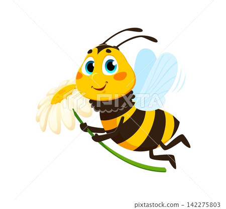 Flying with daisy flower honey bee insect character. Bumblebee animal funny cartoon character, spring honeybee baby happy vector isolated personage. Honey bee bug cute mascot in flight Flying with daisy flower honey bee insect character. Bumblebee animal funny cartoon character, spring honeybee baby happy vector isolated personage. Honey bee bug cute mascot in flight 142275803