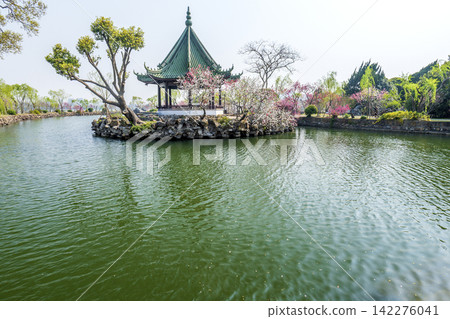 Spring landscape of Li Garden, classical Jiangnan garden in Wuxi China Spring landscape of Li Garden, classical Jiangnan garden in Wuxi China 142276041