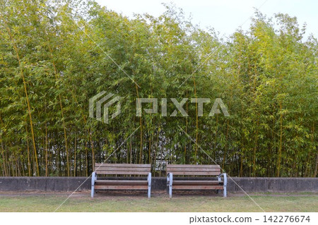 竹林和長椅(奈良縣生駒市高山竹林公園) 竹林和長椅(奈良縣生駒市高山竹林公園) 142276674
