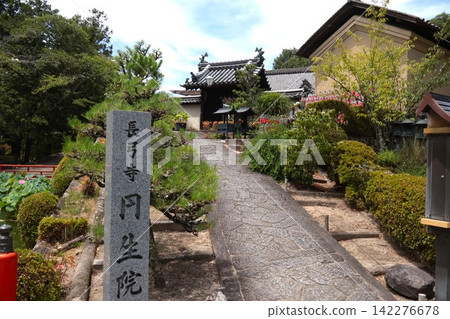 奈良縣生駒市長久寺圓聖院 - 夏季觀光之旅 奈良縣生駒市長久寺圓聖院 - 夏季觀光之旅 142276678
