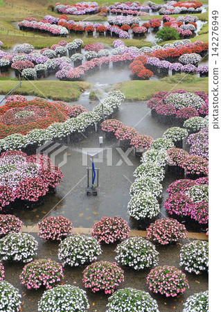 阿爾卑斯安曇野國立公園:Sanpatiens的漂浮花壇 阿爾卑斯安曇野國立公園:Sanpatiens的漂浮花壇 142276949