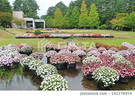 阿爾卑斯安曇野國立公園:Sanpatiens的漂浮花壇 阿爾卑斯安曇野國立公園:Sanpatiens的漂浮花壇 142276954