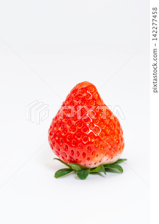 草莓 草莓 142277458