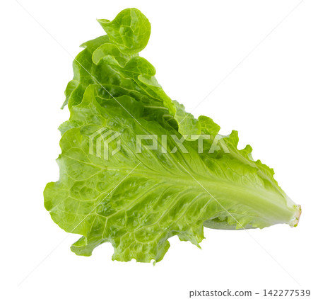 Lettuce Romain isolated on a transparent background 142277539