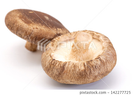 Raw shiitake mushroom Raw shiitake mushroom 142277725