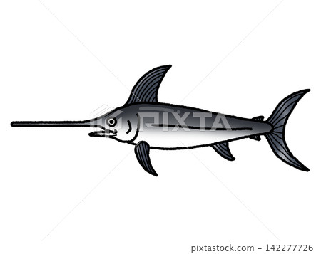 swordfish swordfish 142277726