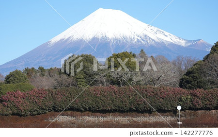 富士加冕雪 富士加冕雪 142277776