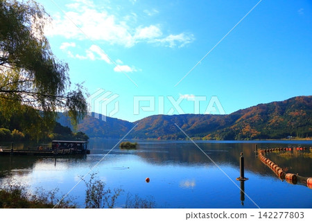 秋日的優戈湖景色，藍天白雲，以及周圍的自然風光。 142277803