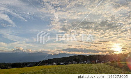 秋天的稻田和秋天的天空 秋天的稻田和秋天的天空 142278005