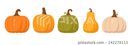 Autumn Pumpkins and Squashes Autumn Pumpkins and Squashes 142278113