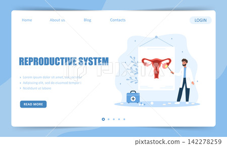 Reproductive system concept. Landing page template. Male doctor check ovarian cyst. Flat vector illustration Reproductive system concept. Landing page template. Male doctor check ovarian cyst. Flat vector illustration 142278259
