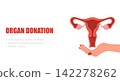 Uterus transplantation. Recycle and renovation organ. Female hand donation human uterus. Vector illustration in flat style 142278262