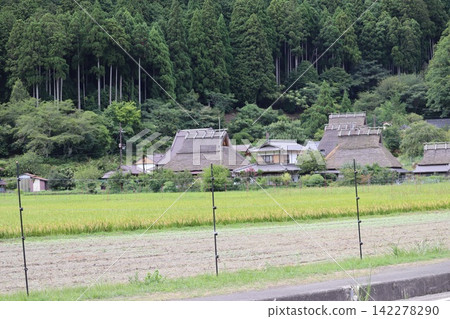 京都府美山市茅草屋頂村莊的清新翠綠景色 142278290