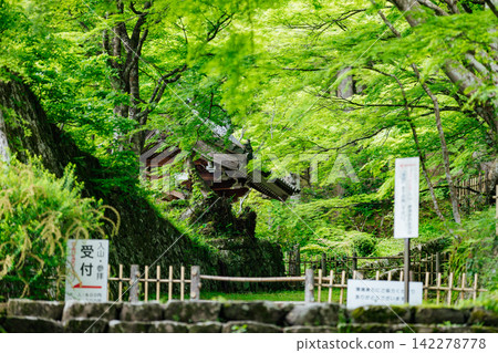 [滋賀縣東近江市] 百齋寺：苔蘚覆蓋的大門和新鮮的綠植，景色令人驚嘆。 142278778