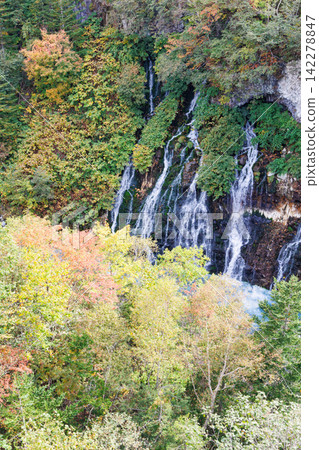 Shirahige Falls, which flows into the Biei River (Autumn in Hokkaido) Shirahige Falls, which flows into the Biei River (Autumn in Hokkaido) 142278847
