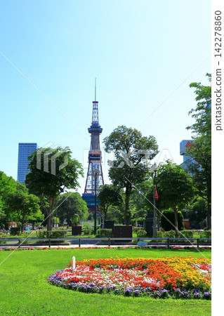 Sapporo TV Tower and Odori Park Sapporo TV Tower and Odori Park 142278860