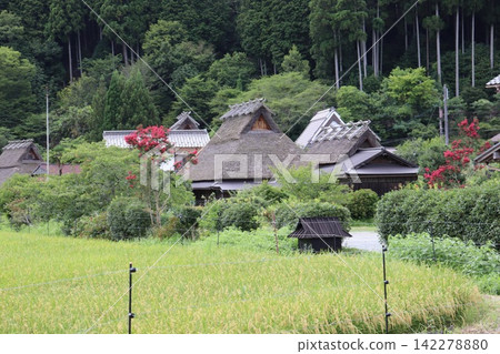Fresh green scenery of the thatched-roof village in Miyama, Kyoto Prefecture Fresh green scenery of the thatched-roof village in Miyama, Kyoto Prefecture 142278880