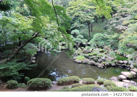 盛夏的公園和池塘 盛夏的公園和池塘 142279261