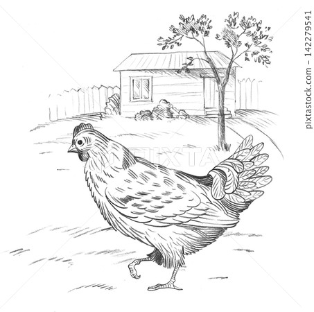 Chicken and landscape with the house, field and tree on the background. Handmade farm pencil illustrations. For design of cards, cover, prints, product labels and fabric. Chicken and landscape with the house, field and tree on the background. Handmade farm pencil illustrations. For design of cards, cover, prints, product labels and fabric. 142279541